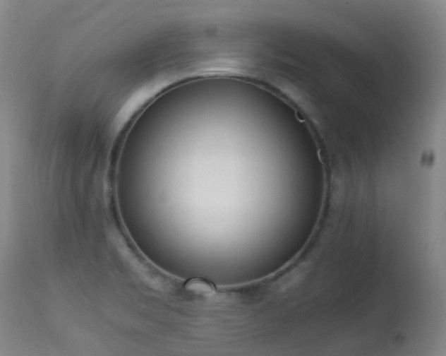 X0000113331469200909211208
