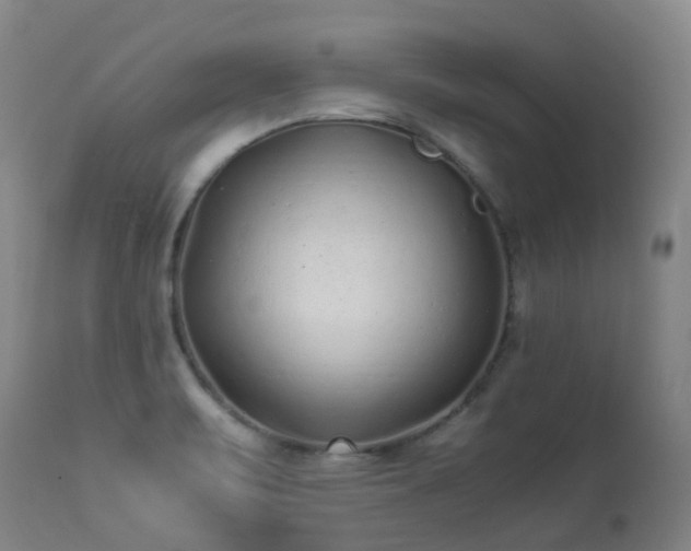 X0000113331471200909211208