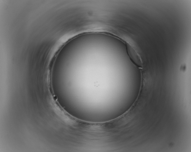 X0000113331472200909211208