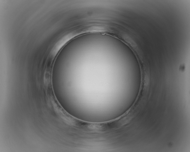 X0000113331473200909211208