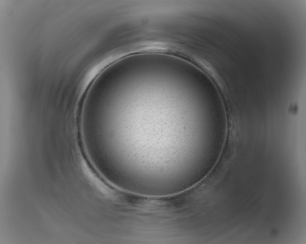 X0000113331475200909211208