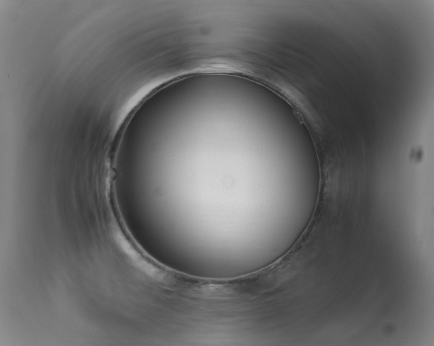 X0000113331476200909211208