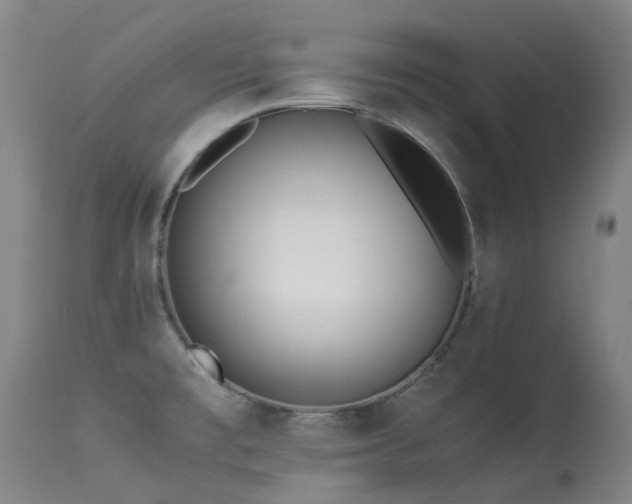 X0000113331477200909211208