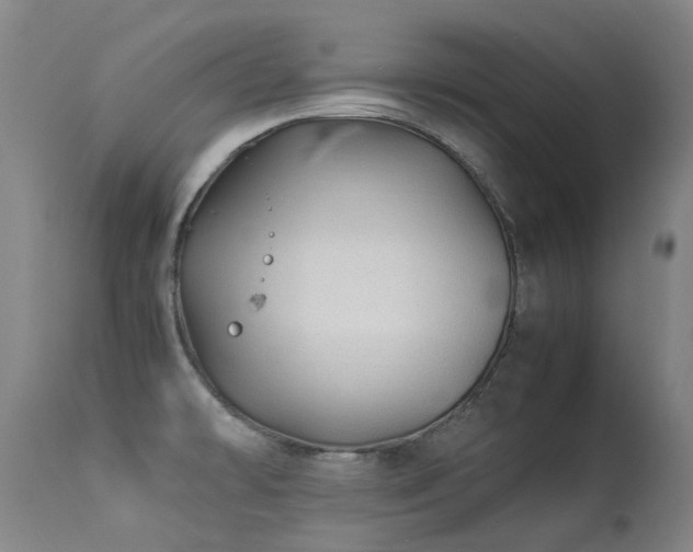 X0000113331478200909211208