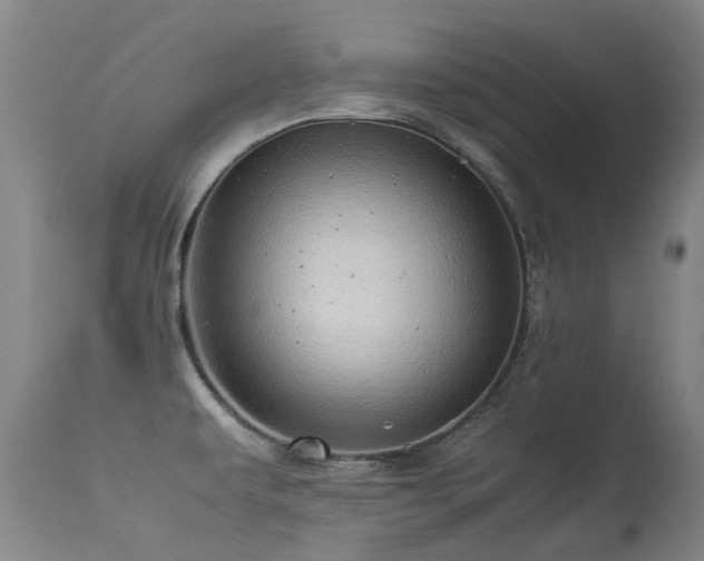 X0000113331479200909211208