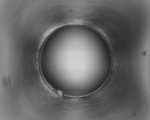 X0000113331480200909211208