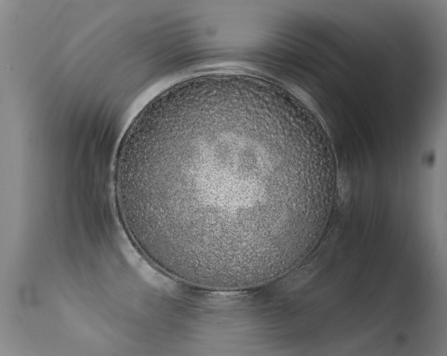 X0000113331482200909211208