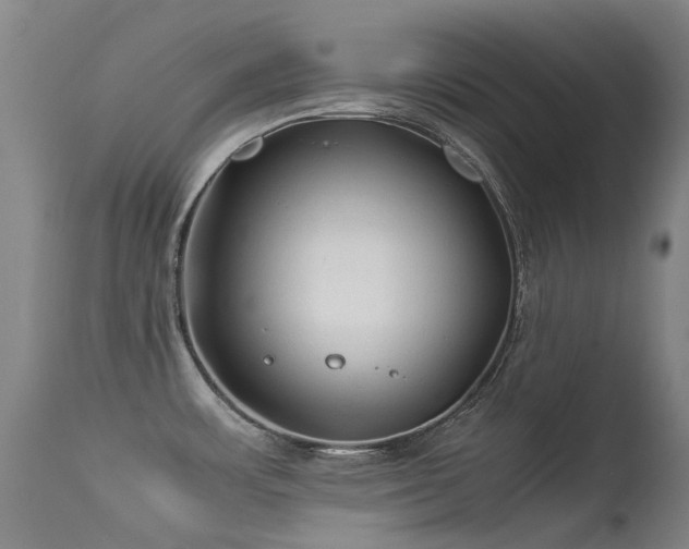 X0000113331483200909211208