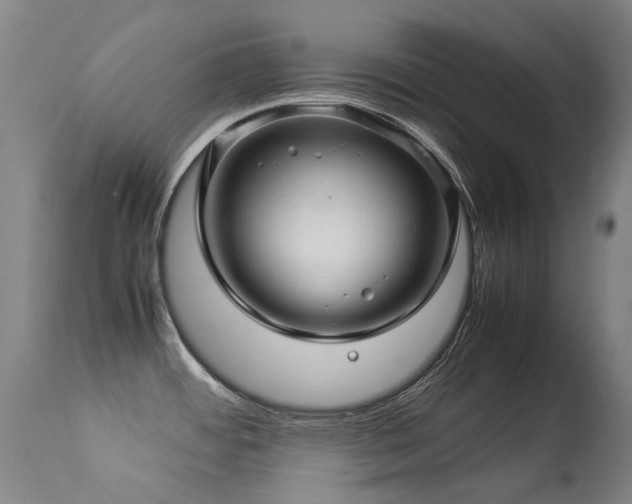 X0000113331484200909211208