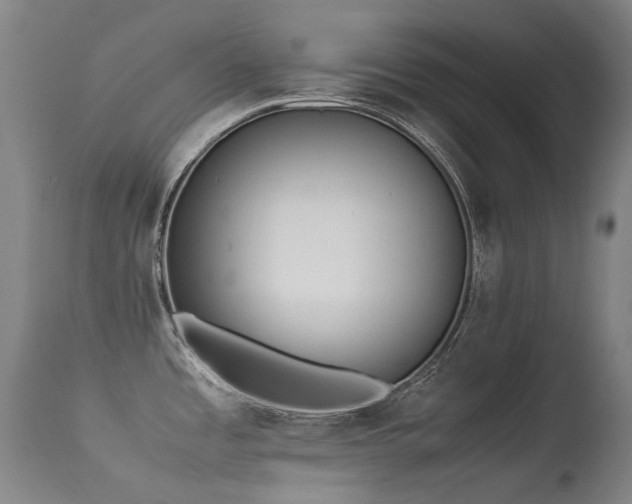 X0000113331485200909211208