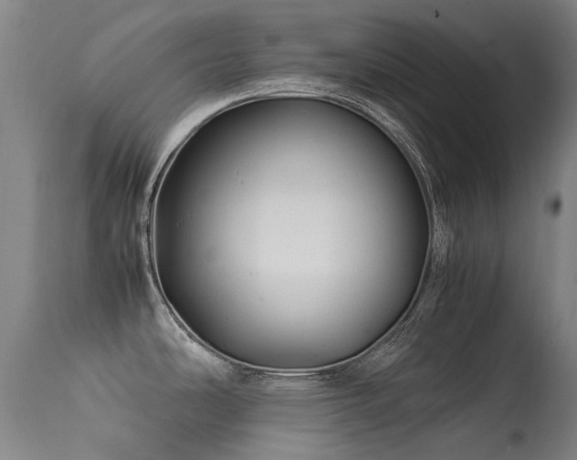 X0000113331486200909211208