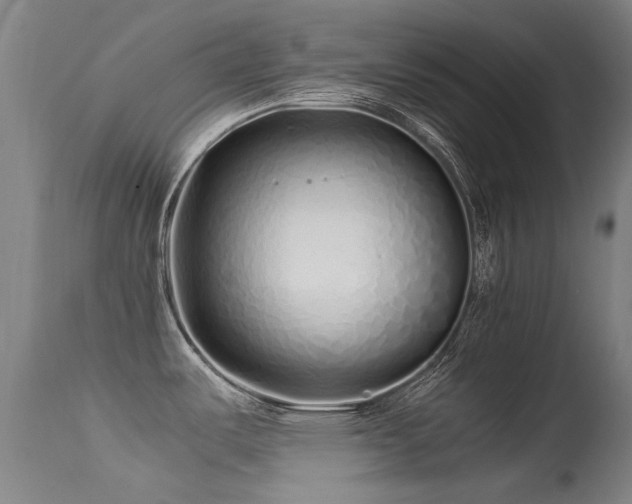 X0000113331487200909211208