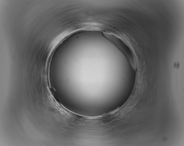 X0000113331488200909211208