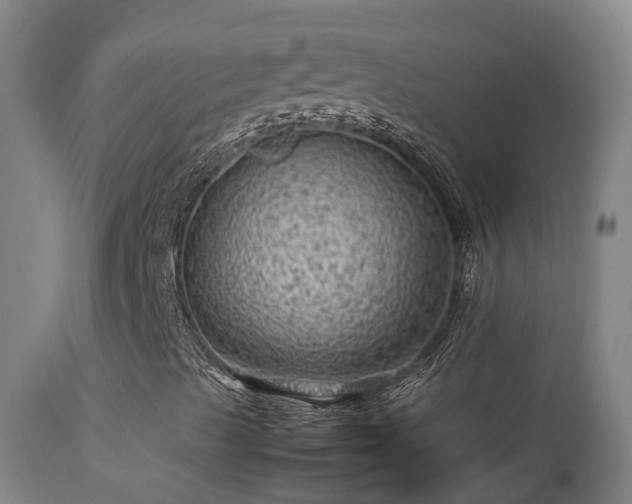 X0000113331489200909211207