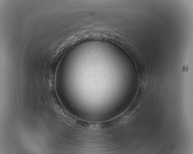 X0000113331490200909211207