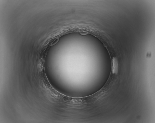X0000113331491200909211207