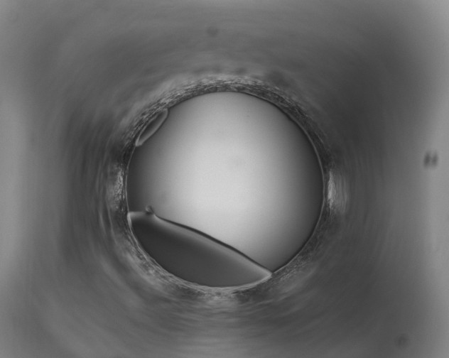 X0000113331492200909211207