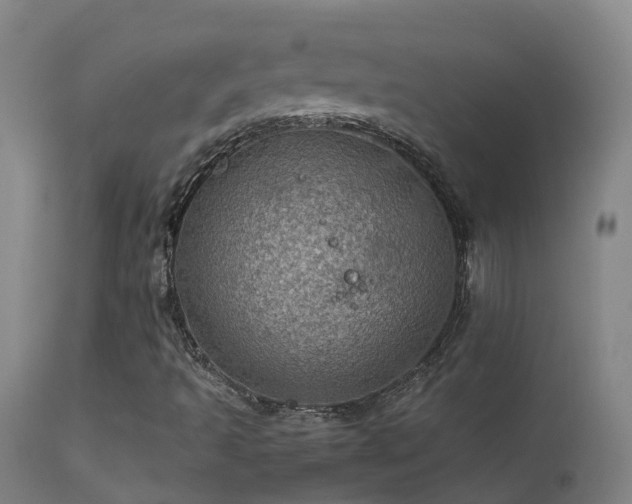 X0000113331493200909211207