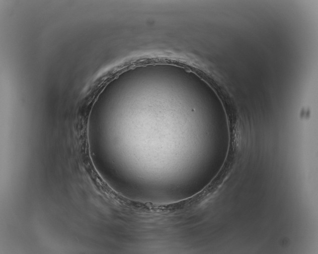 X0000113331494200909211207