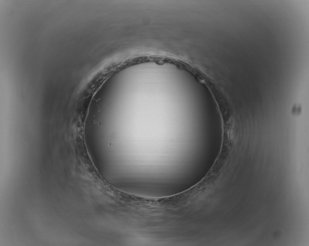 X0000113331495200909211207