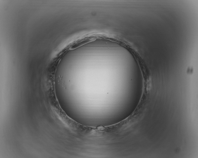 X0000113331496200909211207