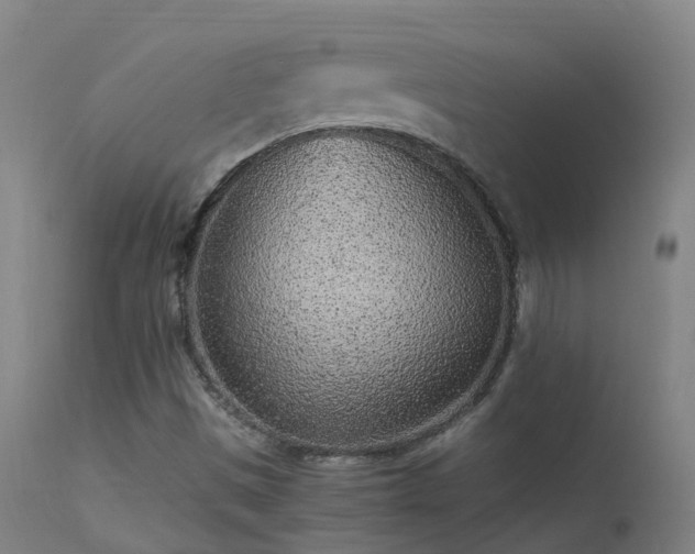 X0000113331497200909211207