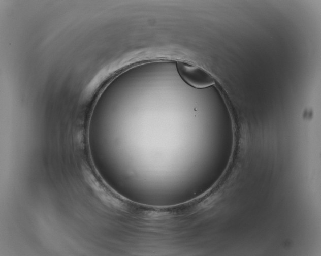 X0000113331499200909211207