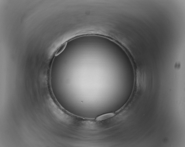 X0000113331500200909211207