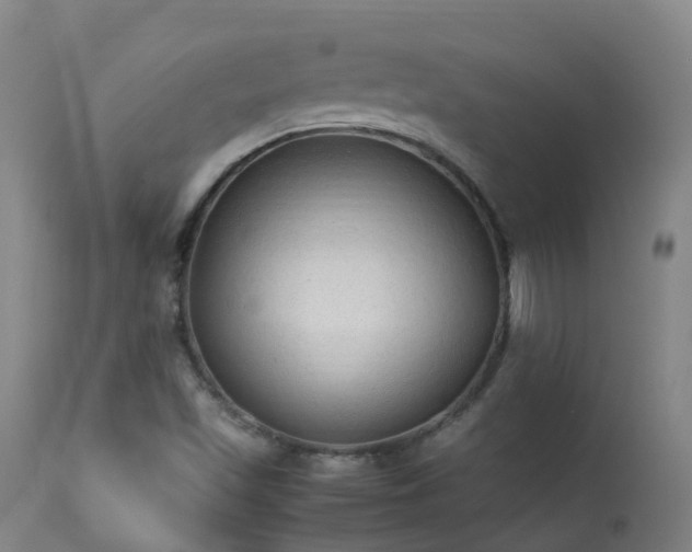X0000113331501200909211207