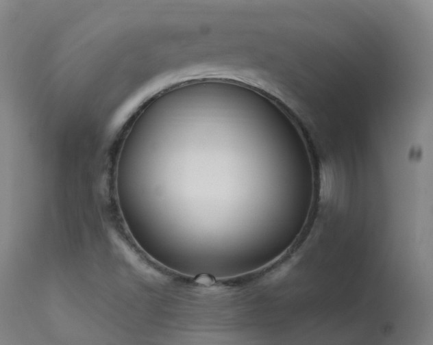X0000113331502200909211207