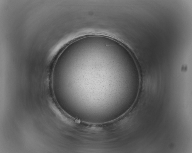 X0000113331503200909211207