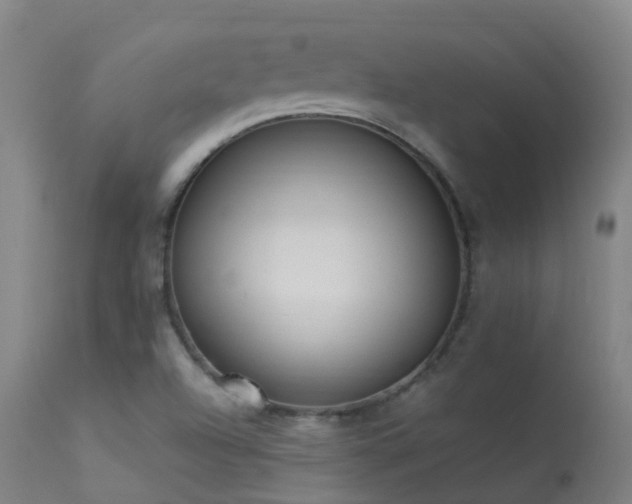 X0000113331504200909211207