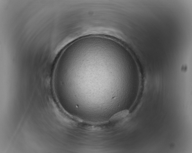X0000113331505200909211207