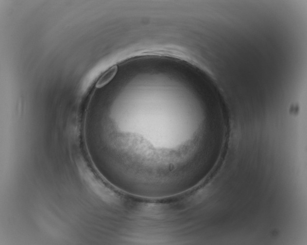 X0000113331506200909211207
