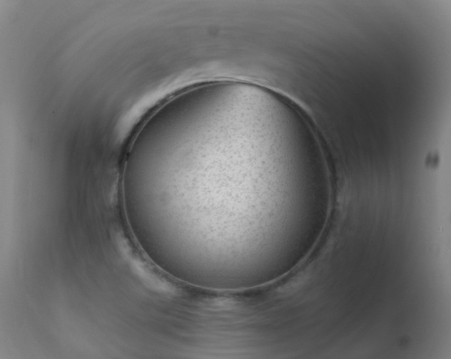 X0000113331507200909211207