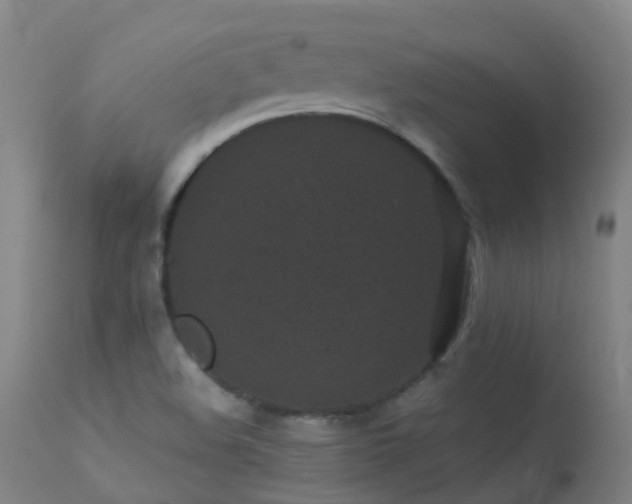 X0000113331508200909211207