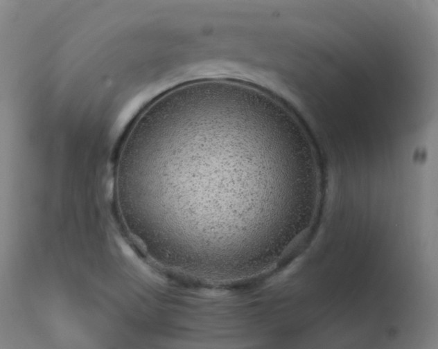X0000113331509200909211207