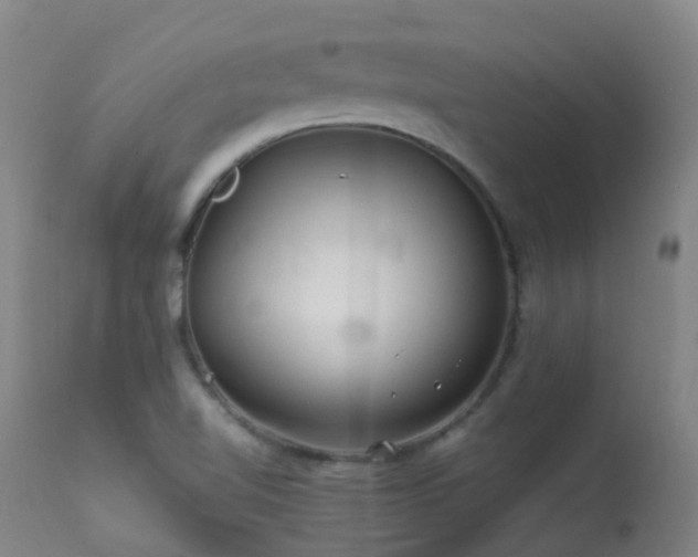 X0000113331510200909211207