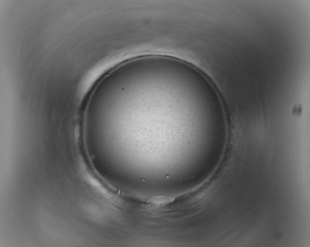 X0000113331511200909211207