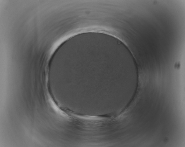 X0000113331515200909211207