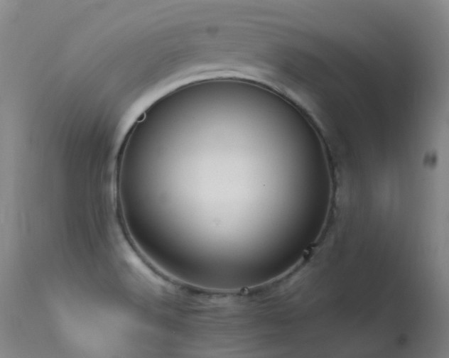 X0000113331516200909211207