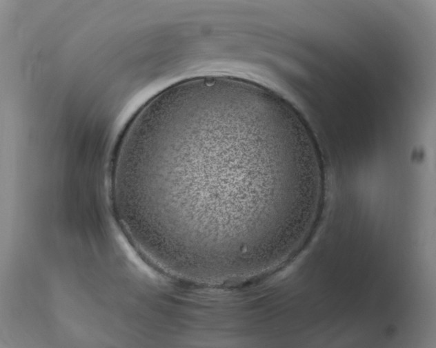 X0000113331517200909211207