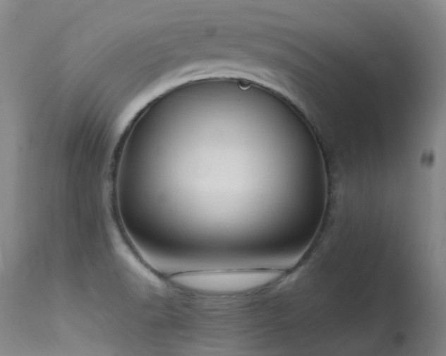 X0000113331518200909211208