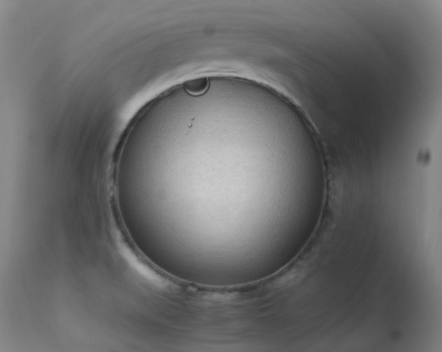 X0000113331519200909211208