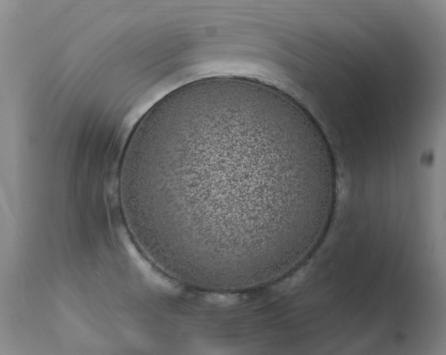 X0000113331521200909211208