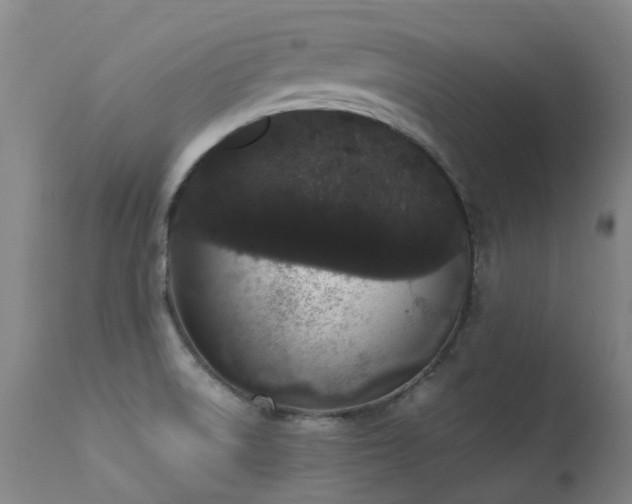 X0000113331522200909211208