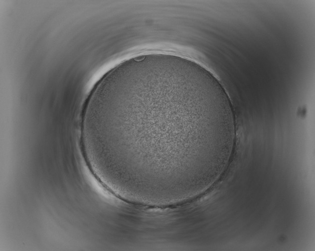 X0000113331523200909211208