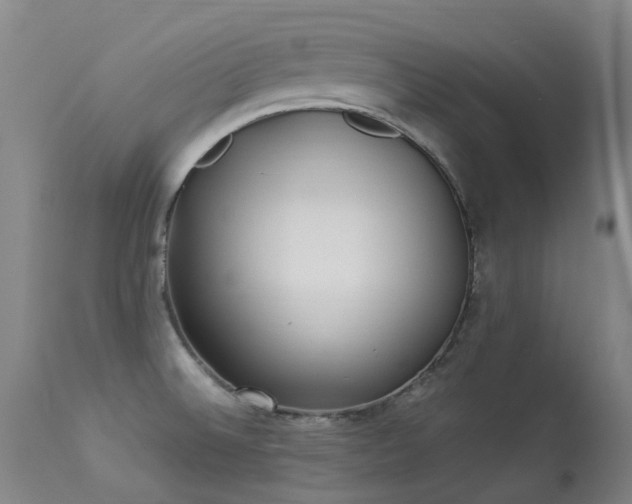X0000113331524200909211208