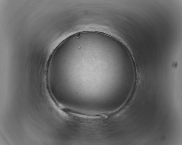 X0000113331525200909211208