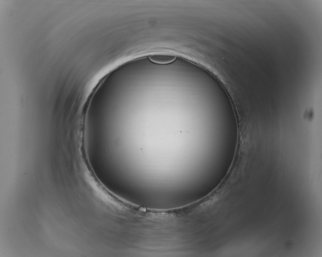 X0000113331526200909211208